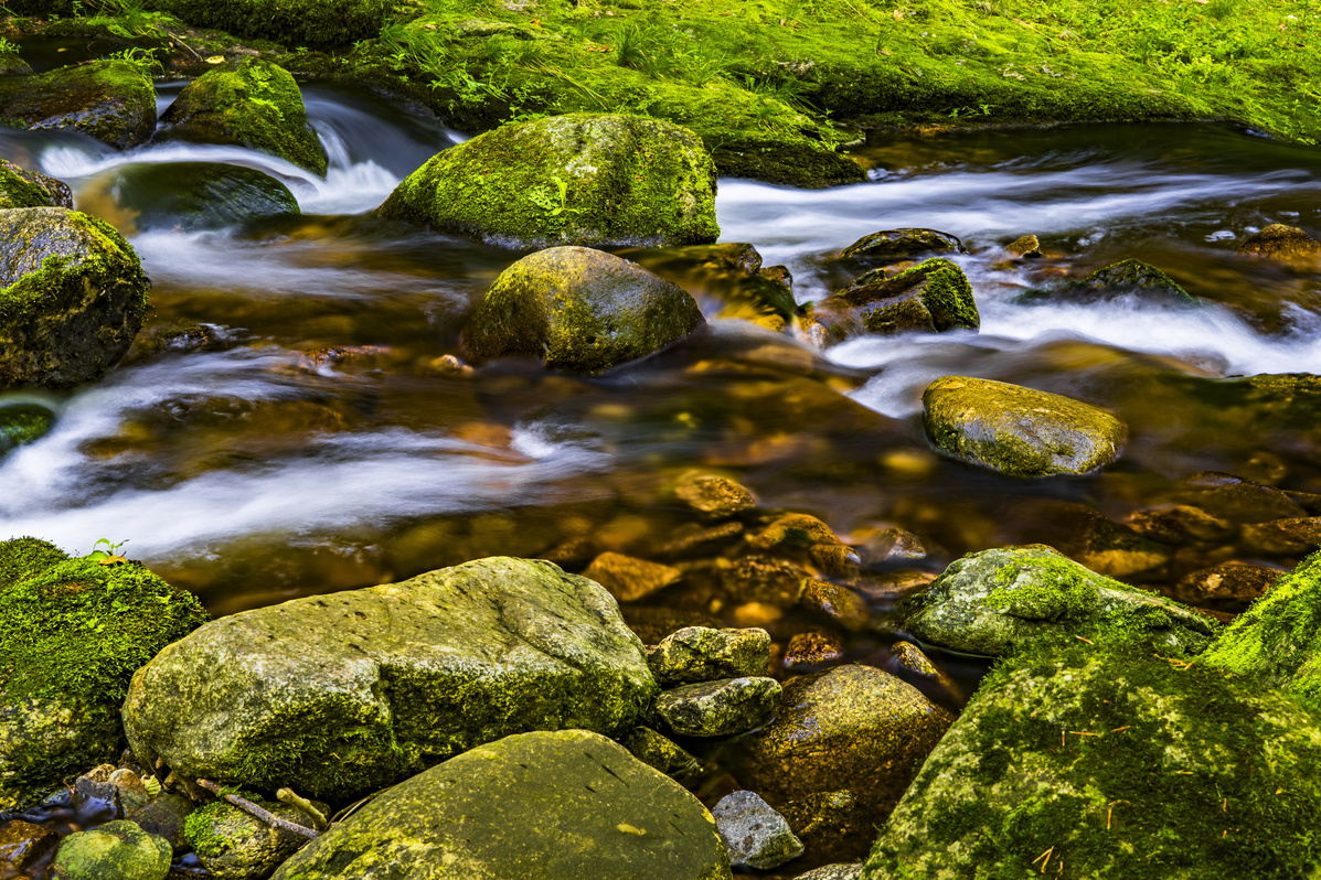 Rocky River